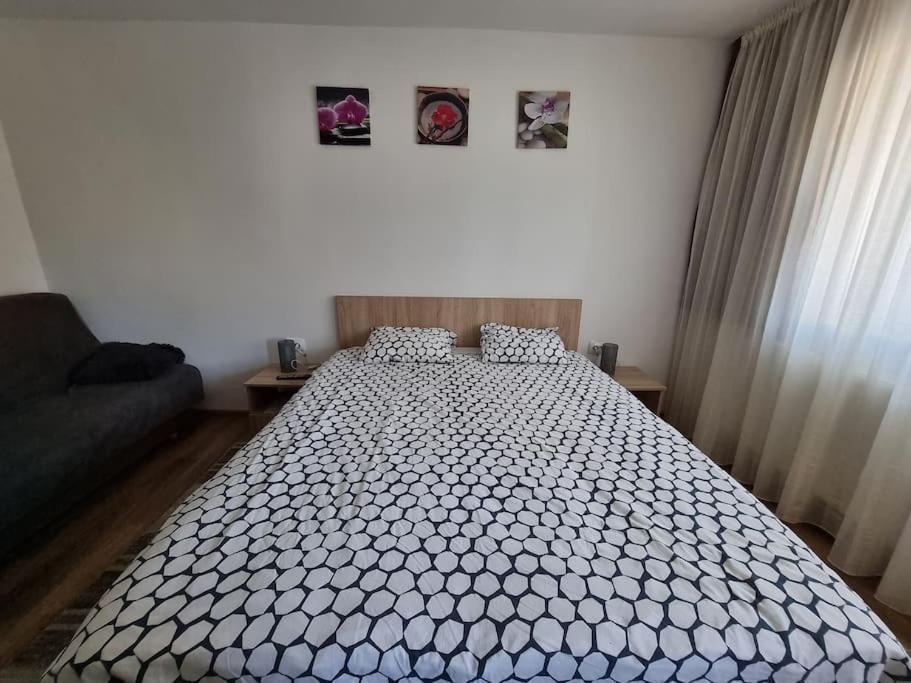 Garsoniera Maria 2 Apartman Torda Kültér fotó